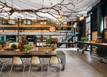 Что нужно знать о профессиональном коворкинге: его преимущества