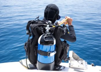 Полезные советы по выбору снаряжения для дайвинга: на какие нюансы обратить внимание