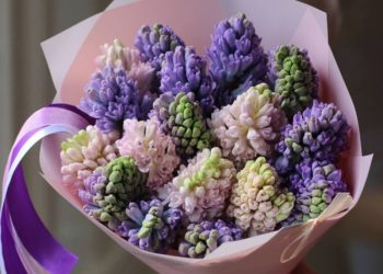 Преимущества цветочных композиций из гиацинтов