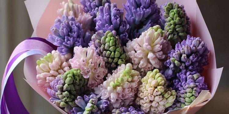 Преимущества цветочных композиций из гиацинтов