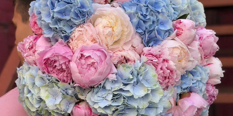 Преимущества приобретения для подарка букета из гортензий