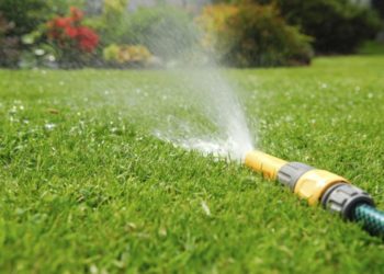 Как правильно заботиться о своем газоне: секреты его полива