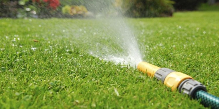 Как правильно заботиться о своем газоне: секреты его полива