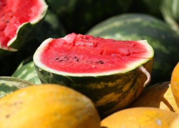 Куда обращаться, если вы хотите приобрести вкусные арбузы и дыни