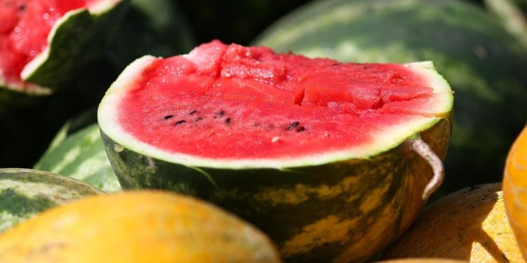 Куда обращаться, если вы хотите приобрести вкусные арбузы и дыни