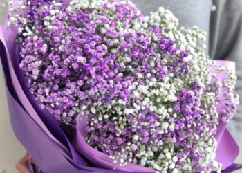 Преимущества выбора букета из гипсофил для подарка или на свадьбу