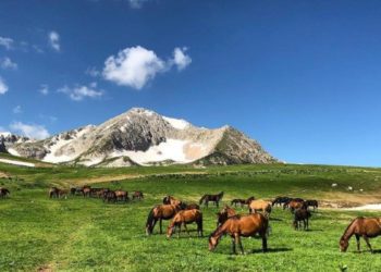 Почему стоит отправиться на отпуск в горы Адыгеи: лучшие туры и их особенности