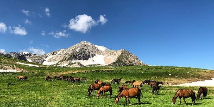 Почему стоит отправиться на отпуск в горы Адыгеи: лучшие туры и их особенности