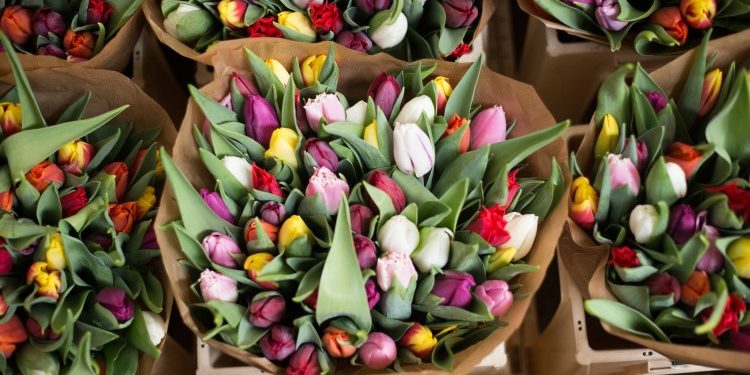 Идеи оформления букета из тюльпанов в домашних условиях