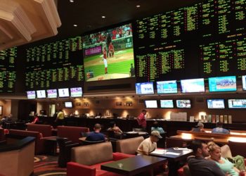 Получение бонусов от букмекерских контор и основные сведения о них