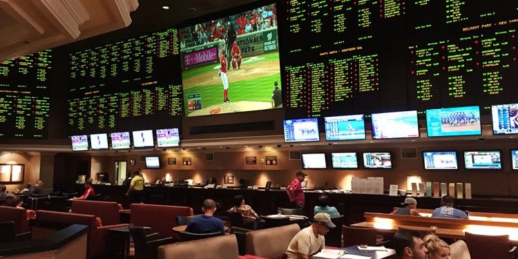 Получение бонусов от букмекерских контор и основные сведения о них