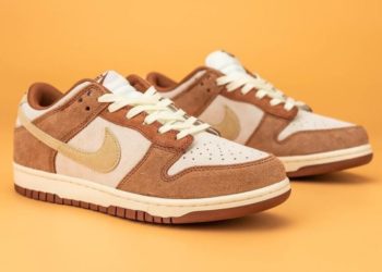 Что нужно знать о кроссовках Nike Dunk: их главные преимущества