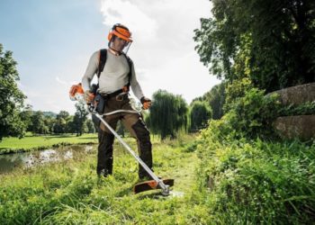 Основные правила покоса травы: что нужно знать и как действовать