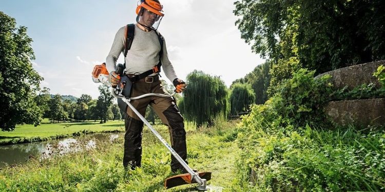 Основные правила покоса травы: что нужно знать и как действовать