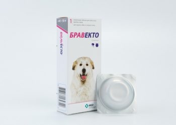 Какое средство использовать для борьбы с клещами у собак