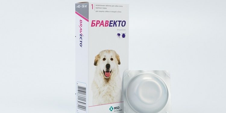 Какое средство использовать для борьбы с клещами у собак