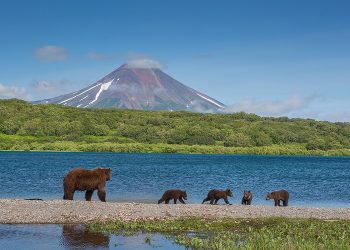 Главные особенности и преимущества туров на Камчатку: что нужно знать