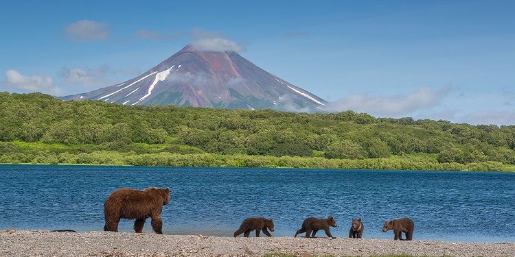 Главные особенности и преимущества туров на Камчатку: что нужно знать