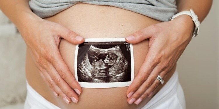 На що звернути увагу, обираючи програму ведення вагітності: корисні поради