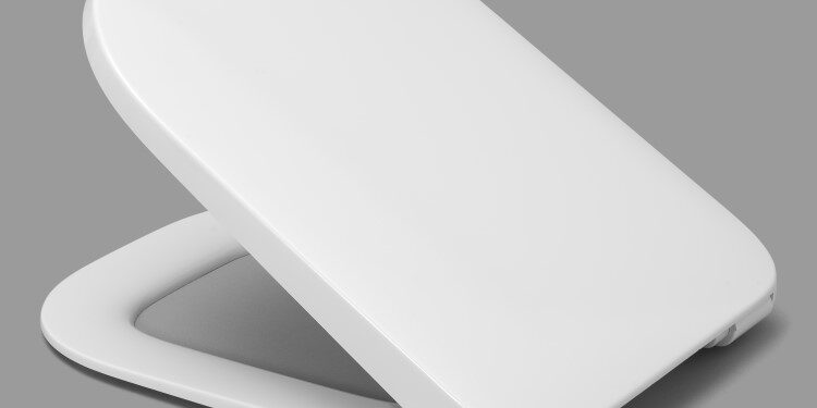 На каких критериях должен основываться выбор сиденья для унитаза