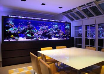 Полезные советы по самостоятельной подготовке домашнего аквариума к зиме