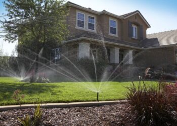 Як встановити автоматичний полив: покрокова інструкція та корисні поради