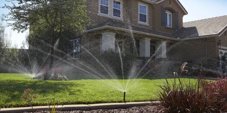 Як встановити автоматичний полив: покрокова інструкція та корисні поради