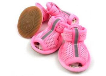 Секреты выбора удобной обуви для собак: чем руководствоваться