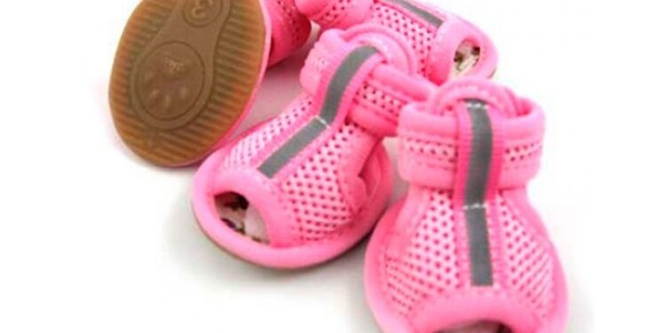 Секреты выбора удобной обуви для собак: чем руководствоваться