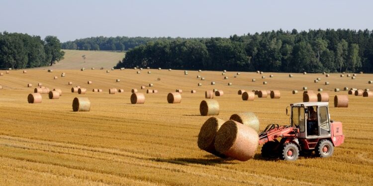 Насколько успешно проходит импортозамещение в сельском хозяйстве
