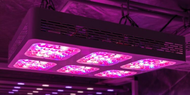 Фітодіод повного спектра: нова ера в рослинному вирощуванні