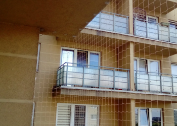 Защита от голубей: почему она так важна в Израиле