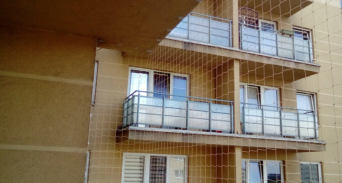 Защита от голубей: почему она так важна в Израиле