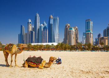 Organizing a holiday in the United Arab Emirates