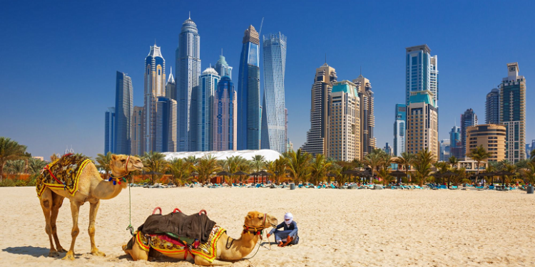 Organizing a holiday in the United Arab Emirates