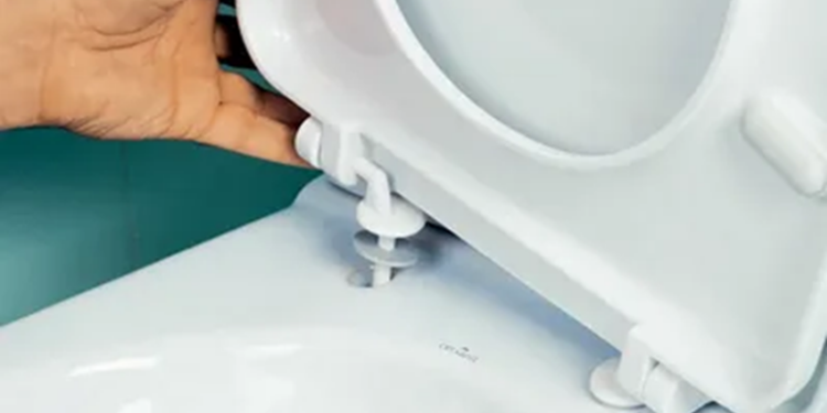 Крышки для унитаза: разновидности, требования и выбор