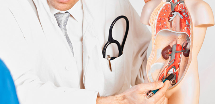 Болезнь Пейроні: причини, симптоми та лікування