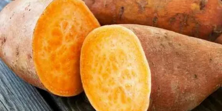 Приготування батату у духовці: правила, особливості та поради