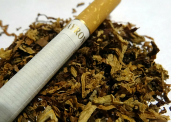 История появления сигарет: от древности до современности