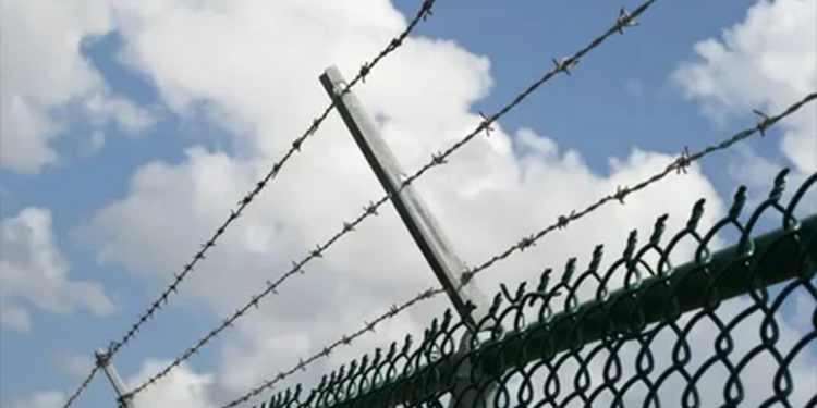 Почему применяют колючую проволоку для заборов и их достоинства