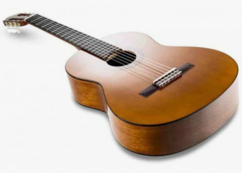 Гитары для новичков: виды, требования и выбор