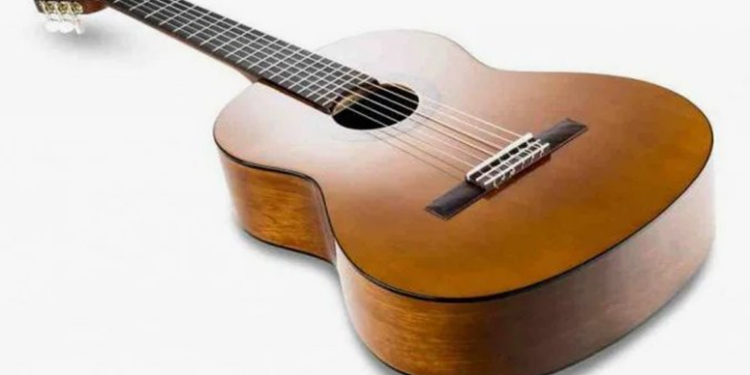 Гитары для новичков: виды, требования и выбор