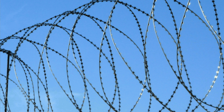 Что нужно знать про колючую проволоку Гюрза и ее монтаж