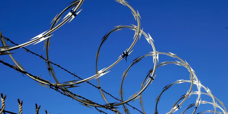 Как выбрать колючую проволоку и важные рекомендации