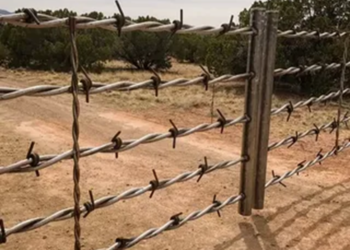 Как смонтировать забор из колючей проволоки и советы