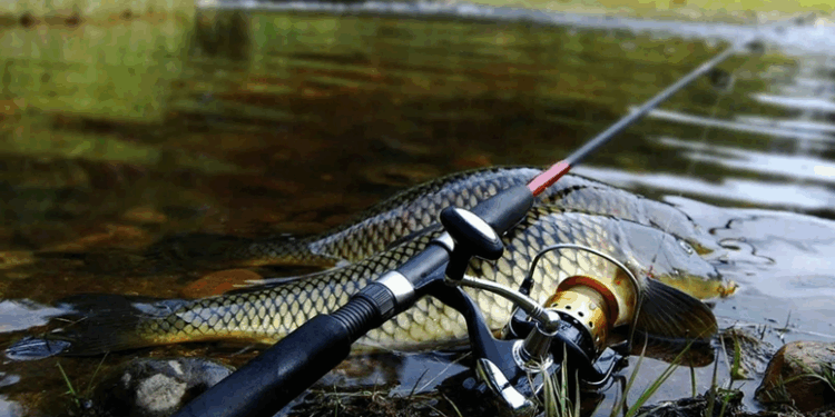 Как выбирать правильную прикормку для рыбалки: что необходимо знать