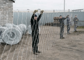 Колючая сетка Егоза: основные свойства и применение