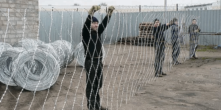 Колючая сетка Егоза: основные свойства и применение