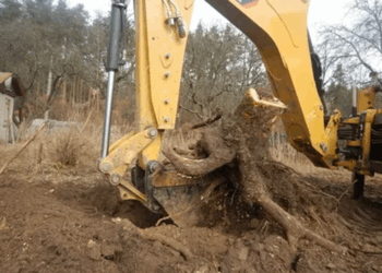 Как выполняется корчевка пней: технология, правила и советы