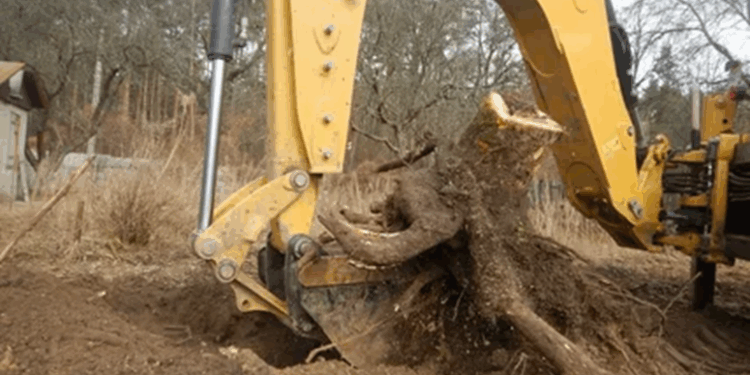 Как выполняется корчевка пней: технология, правила и советы